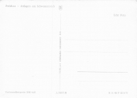 Rückansicht - Zwickau -  Anlagen am Schwanenteich, 1962 - Ansichtskarte zum Kaufen ungelaufen, Rückseite leer!