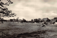 Vorderansicht - Luftkurort Carsfeld, Postkarte 1971 - Ortsteil Weitersglashütte ungelaufen