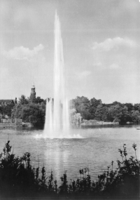 Vorderansicht - Zwickau - Fontäne im Schwanenteich, 1968 - Ansichtskarte zum Kaufen Echt Foto