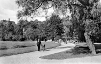 Vorderansicht - Zwickau - Schwanenteichanlagen, 1958 - alte Schwarz-Weiß-Postkarte Echte Fotografie