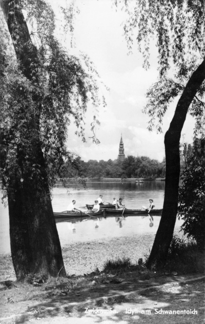 Vorderansicht - Ansichtskarte Zwickau - Idyll am Schwanenteich, 1964 - historische Postkarte Echte Fotografie