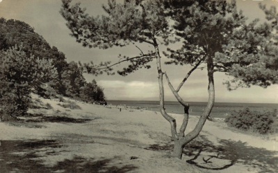 Ostseebad Baabe - Blick zum Strand, Postkarte 1958