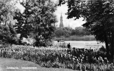 Vorderansicht - Zwickau - Schwanenteich, 1961 - Ansichtskarte zum Kaufen Echt Foto