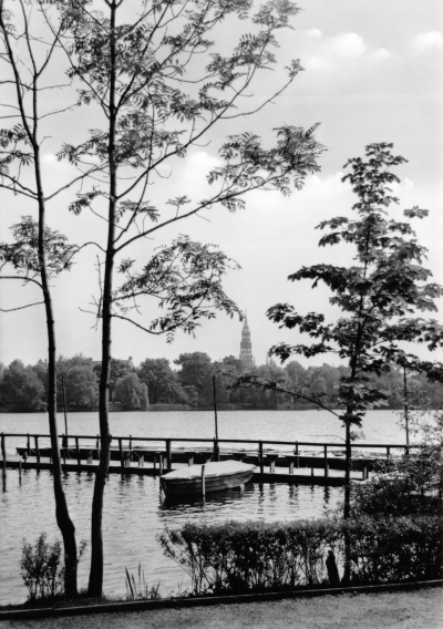 Vorderansicht - Zwickau - Schwanenteich, 1979 - Ansichtskarte zum Kaufen Echt Foto