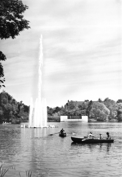 Vorderansicht - Zwickau - Schwanenteich mit Fontäne, 1973 - Ansichtskarte zum Kaufen Echt Foto